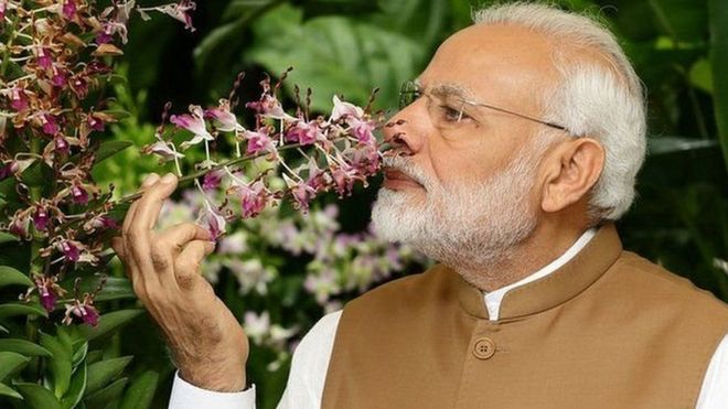 मोदी