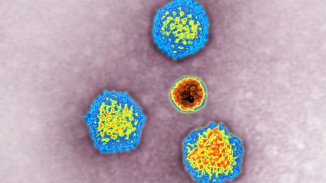 Adenovirus