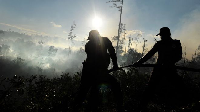 Мужчины вырубают лес в Индонезии