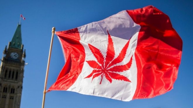 Canadian flag with marijuana leaf at National Marijuana Day in Ottawa, 12 October 2018