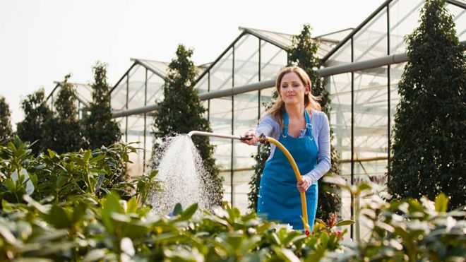 Женщина поливает растения со шланга