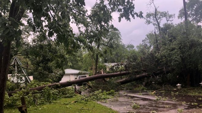 Деревья, упавшие в результате сильных штормов и торнадо, видны в Оналаске, штат Техас