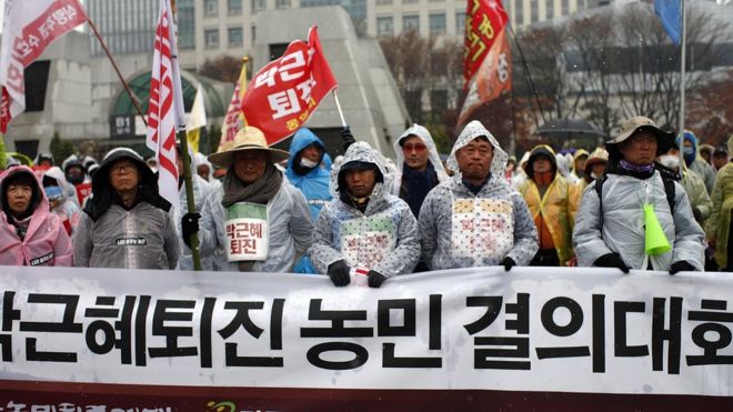 Фермеры присоединяются к протестам против президента Южной Кореи