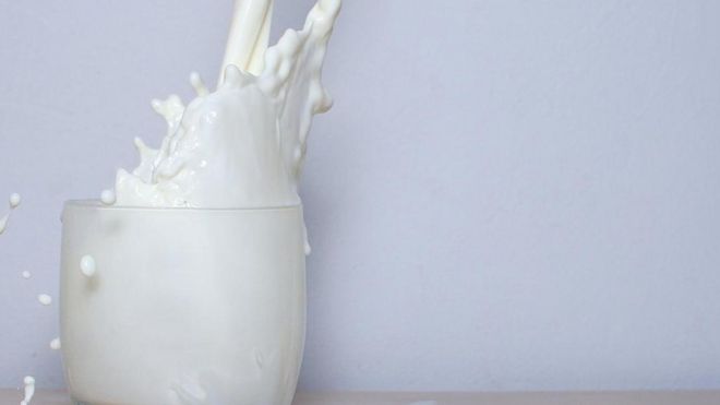 Sữa dường như không tạo ra sự khác biệt gì đối với tỷ lệ gãy xương