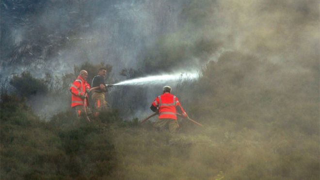 Пожарные борются с огнем вересковой пустоши
