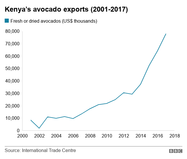 График, показывающий рост экспорта авокадо в Кении с 2011 года