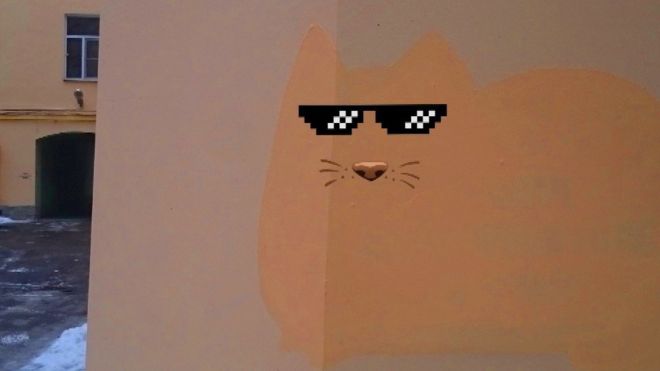 Изображение кота на стене