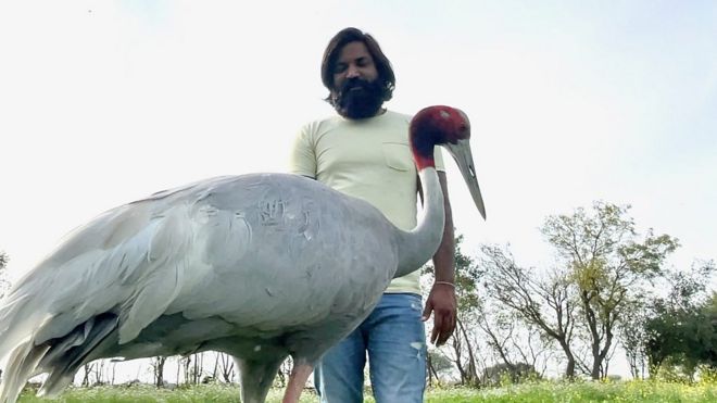 Mohammad Arif and the crane