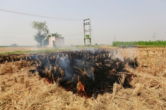 Стерня горит на рисовом поле в Гаронде в северном штате Харьяна, Индия, 9 октября 2018 года