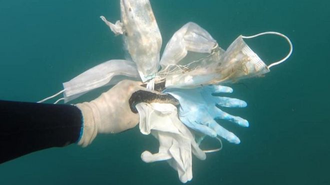 Soiled gloves and masks found on seabed in south of France