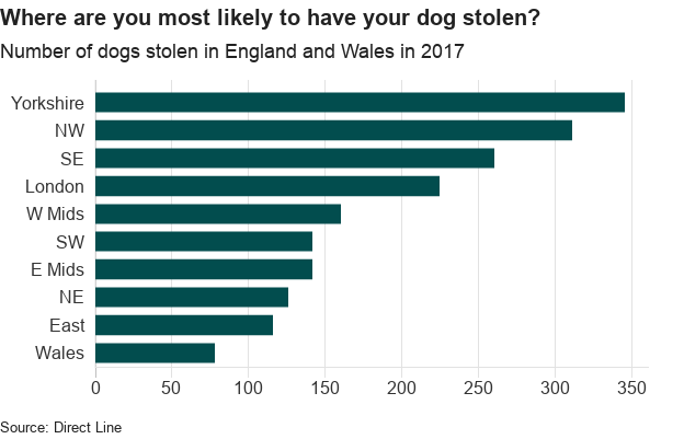 где вы, скорее всего, украдете свою собаку