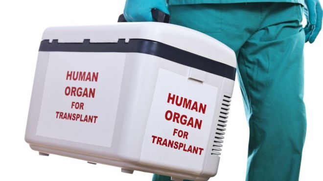 Donación de órganos