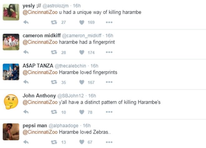 Твиты о горилле Харамбе в ответ на несвязанный пост из зоопарка Цинциннати