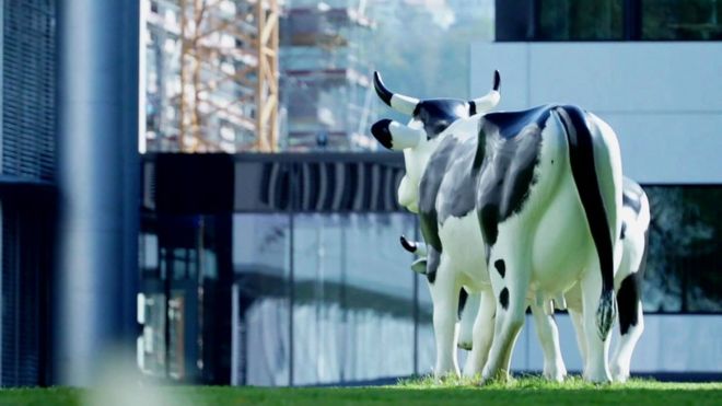 Пара модельных коров в штаб-квартире Glencore в Швейцарии