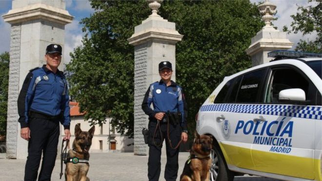 สุนัขตำรวจกรุงมาดริด 22 ตัวจะได้รับการบำบัดด้วยเสียงดนตรีและที่อยู่ติดเครื่องปรับอากาศ