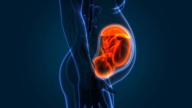 Pregnant woman