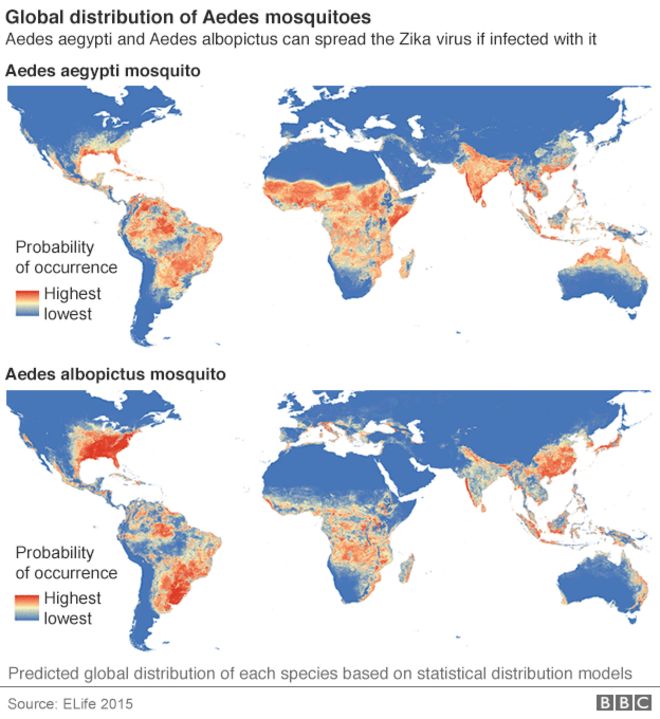Карта глобального распространения комаров Aedes
