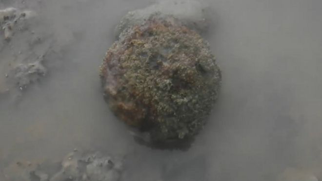 Канон мяч в грязи