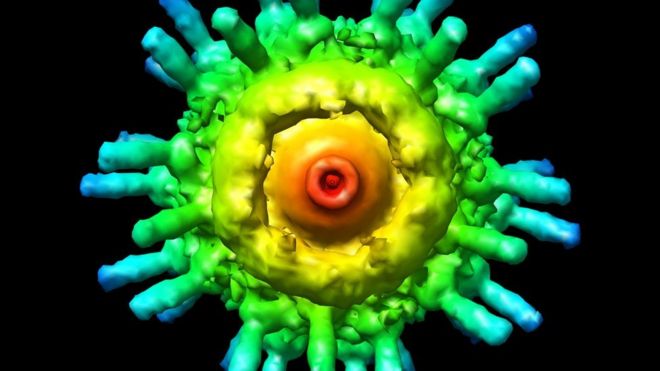 Imagen mejorada de un virus visto a través de un microscopio electrónico.