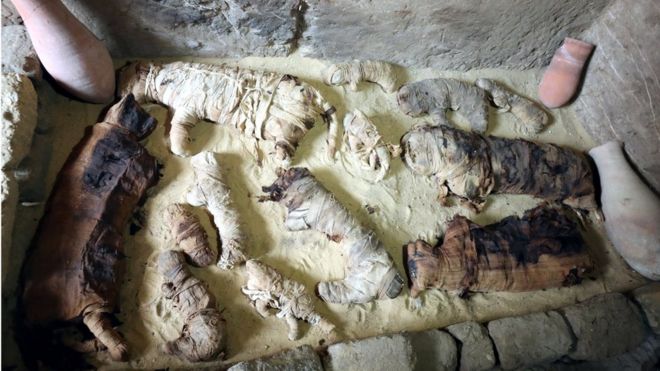 Cat mummies inside the tomb of Khufu-Imhat, in Saqqara area, Giza, Egypt, 10 November 2018.