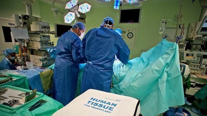 Трансплантационная хирургия