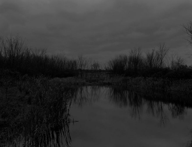 Без названия # 12 (The Marsh) от Dawoud Bey