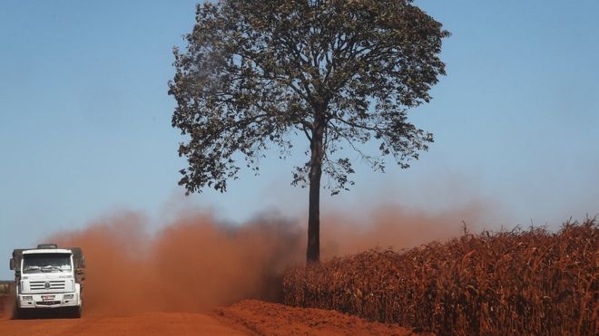 Un camión levanta polvo al transitar por un camino de una zona deforestada de la Amazonía en Rondonia, Brasil, el 28 de junio de 2017.