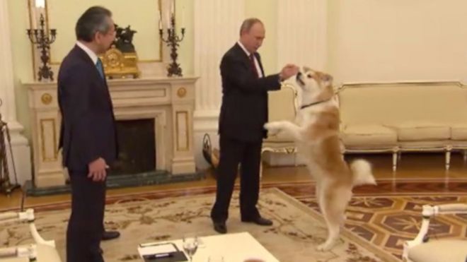 Владимир Путин и собака Юмэ.