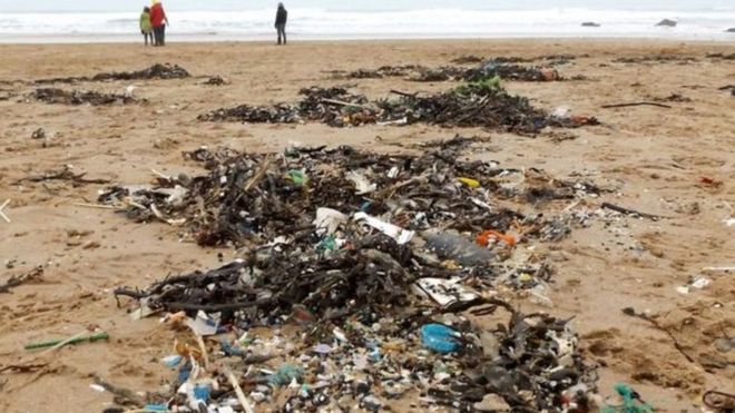 Отходы вымыты на пляже Корниш