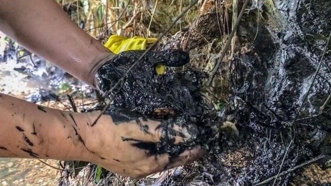 Vết dầu nhớt được phát hiện ở tỉnh Hòa Bình gần kênh dẫn nước vào nhà máy
