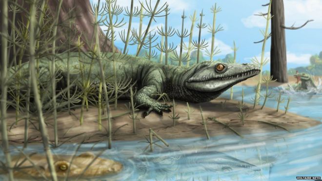 Рептилия жила возле озер и рек, питаясь мелкими рептилиями