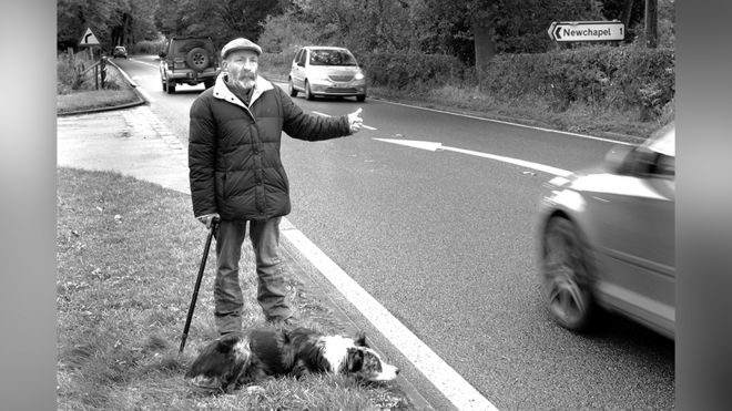 Мужчина и его собака на обочине дороги