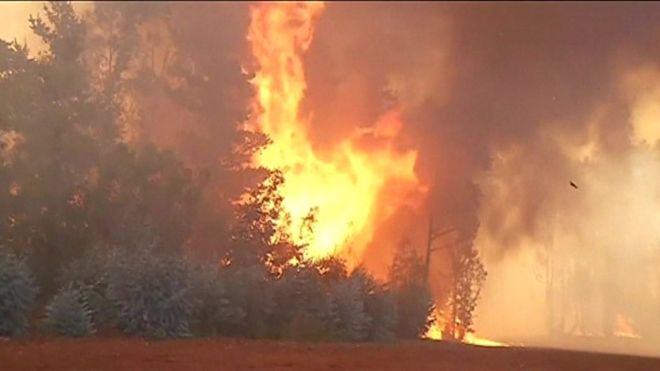 В ряде регионов Чили объявлено чрезвычайное положение. Лесные пожары подошли вплотную к порту Вальпараисо.