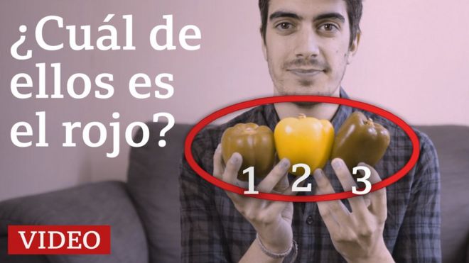 Enric Botella