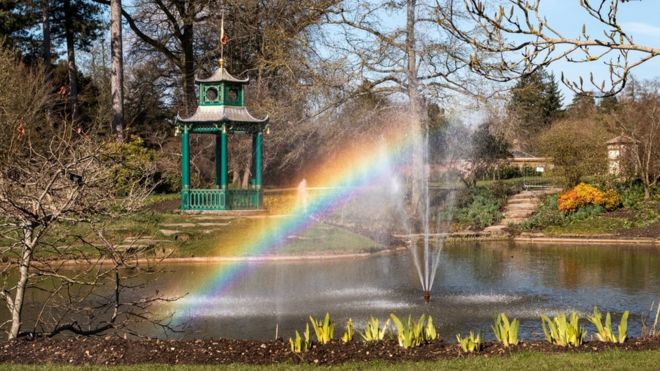 Watergarden в Кливдене