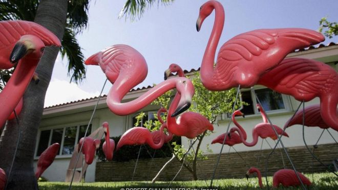 Flamingo rosa de plástico