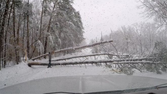 Упавшее дерево блокирует дорогу в Южной Каролине