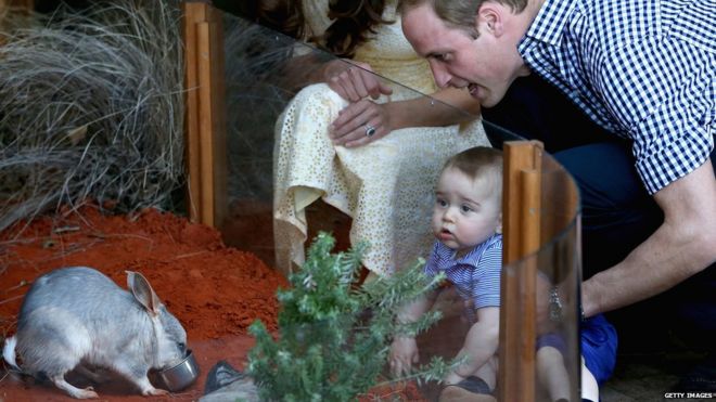 Принц Джордж и его родители, герцог и герцогиня Кембриджские, посещают вольер в зоопарке Таронга в Сиднее, апрель 2014 г.