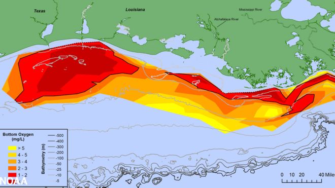 Ilustración de la "zona muerta" de 2021 en el Golfo de México