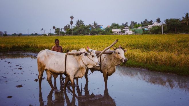 நவீன் குமார்