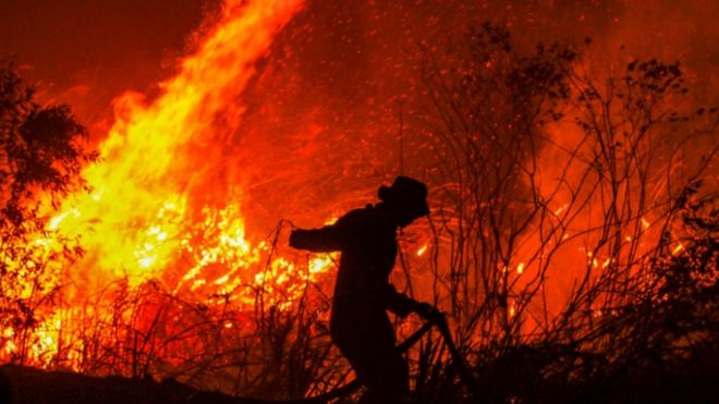_109546792_indonesiaforestfireafp
