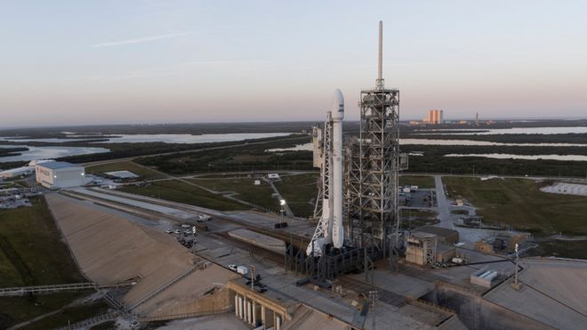 Falcon on the pad