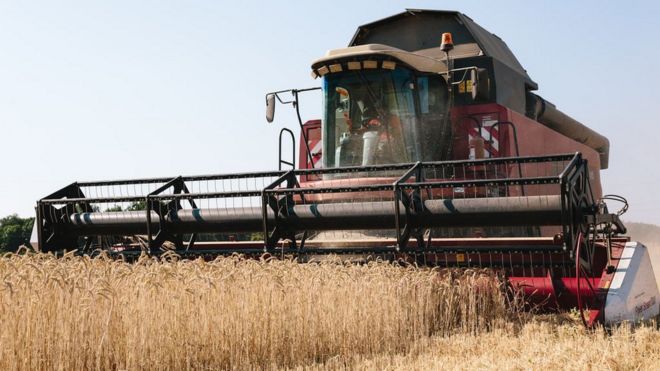 Harvester in Kharhiv region of Ukraine