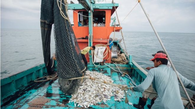 Рыбаки и фермеры в Азии переходят на цифровые технологии во время вируса.