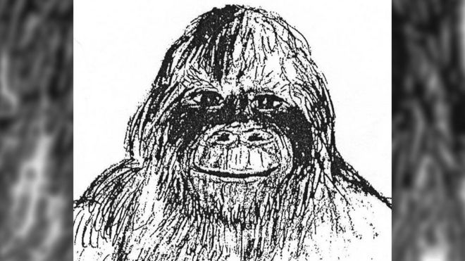 [Image: _103308803_crop-bigfoot.jpg]