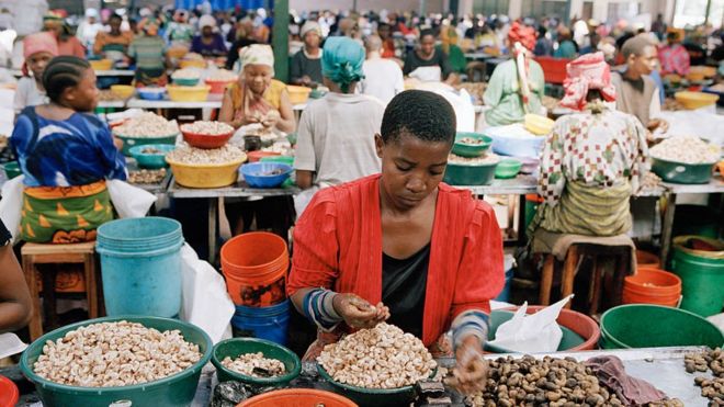 Cashew nut factory workers at a production line in Mtwara, Tanzania