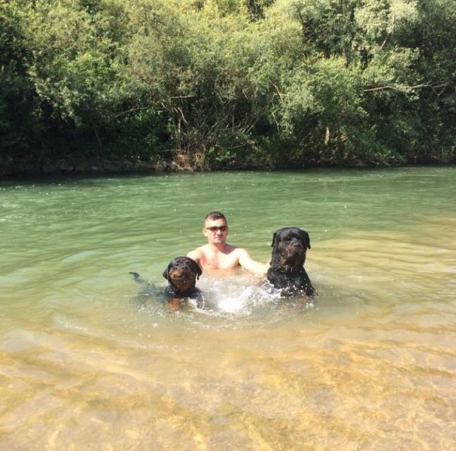 Ибиш Пери плавает со своими собаками