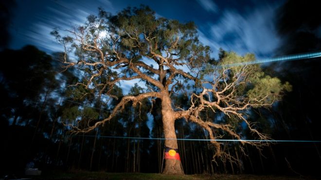 The "Directions Tree" seen at night with an Aboriginal flag draped around it