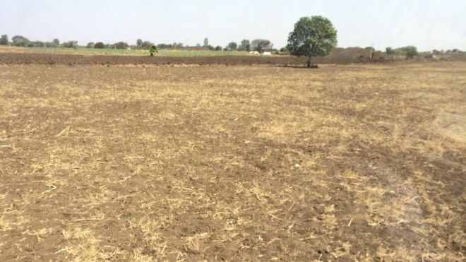 После трехлетней засухи засушливые сельхозугодья в Латуре, Индия.