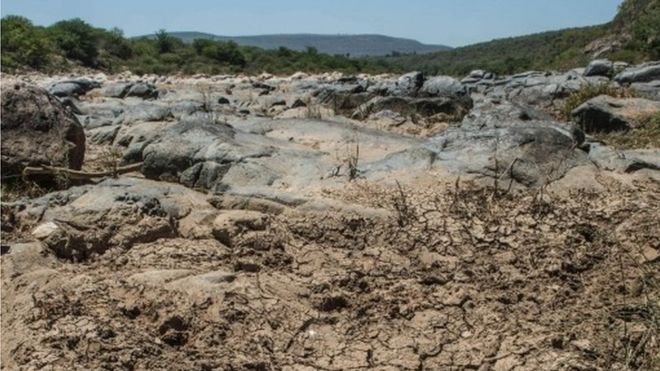 На снимке, сделанном 9 ноября 2015 года, показана высохшая река Мфулози в Улунди, примерно в 159 км к северу от Дурбана в Квазулу-Натале, в результате сильной засухи, поражающей Южную Африку